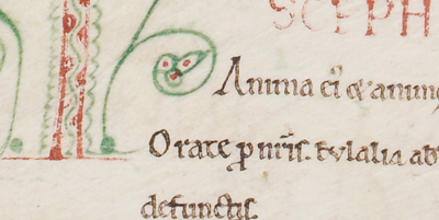 Workshop ANR TITULI – 14 novembre 2025 – MNHN